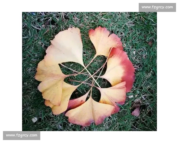 重阳节的历史传承与现代意义：敬老尊贤与秋意浓浓的文化探寻